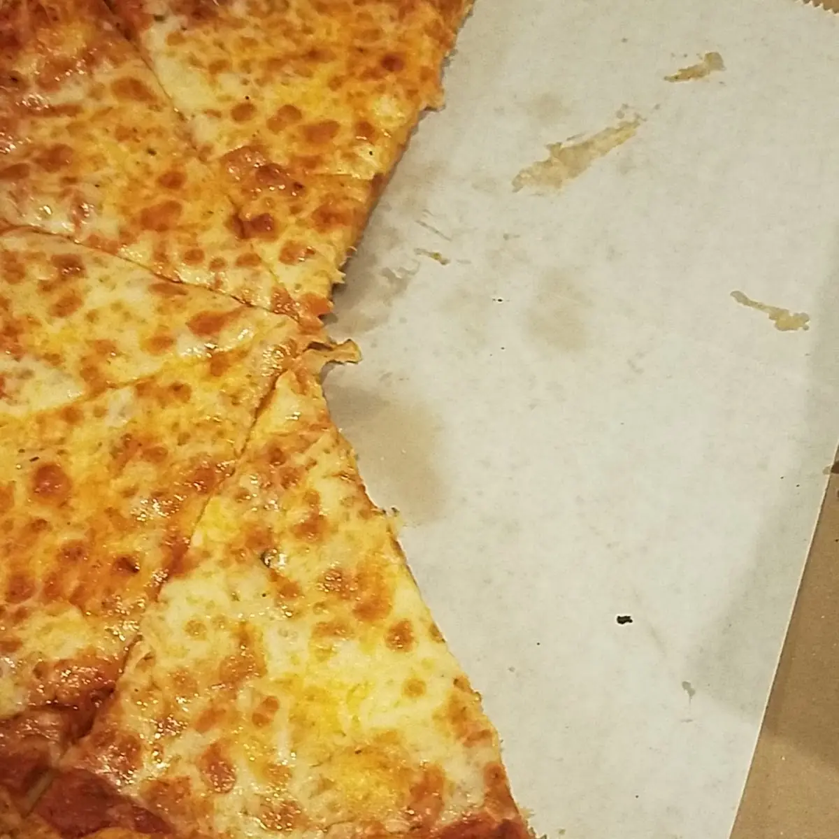 Pepperoni and Cheese Pizza Slices