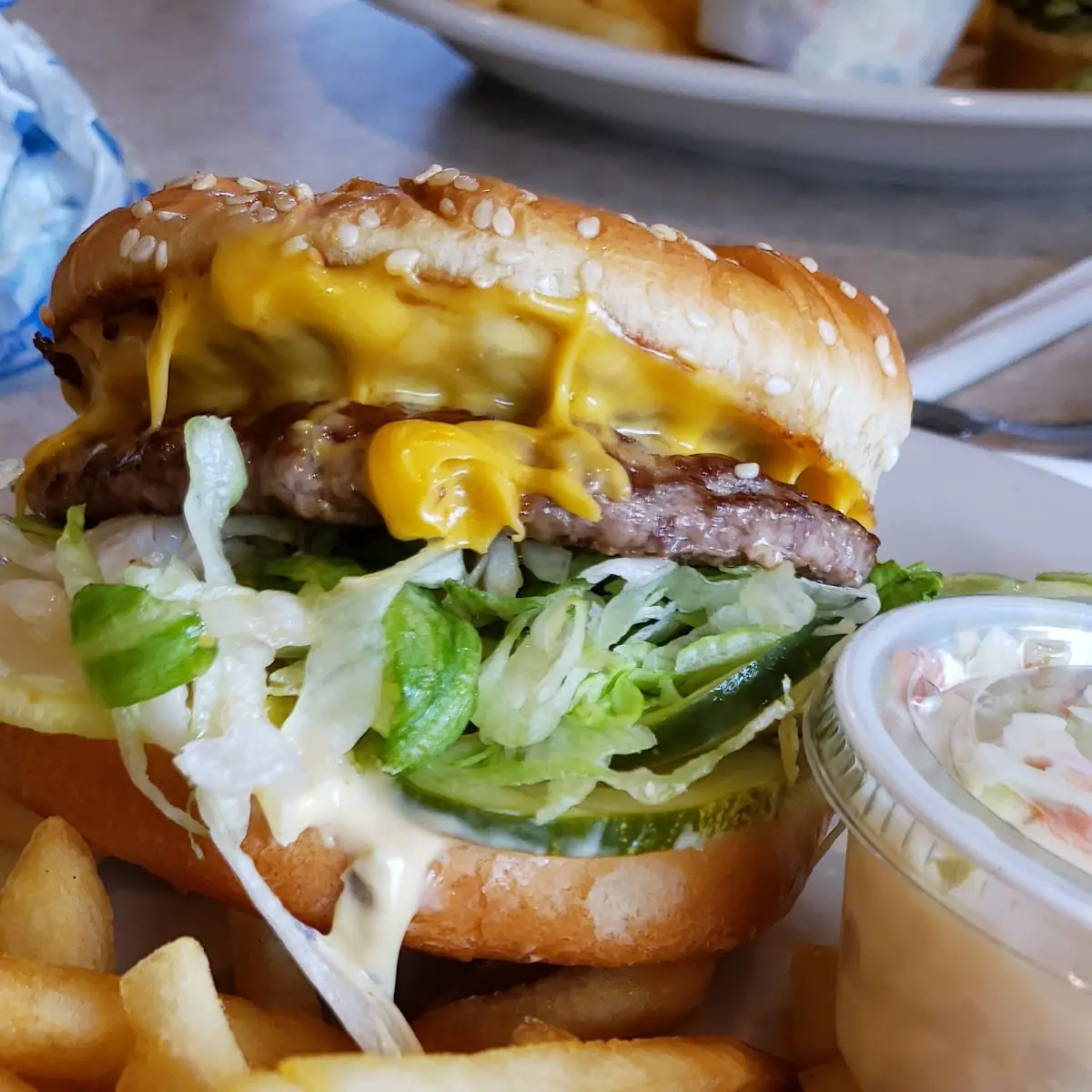 Mr Burger Combo