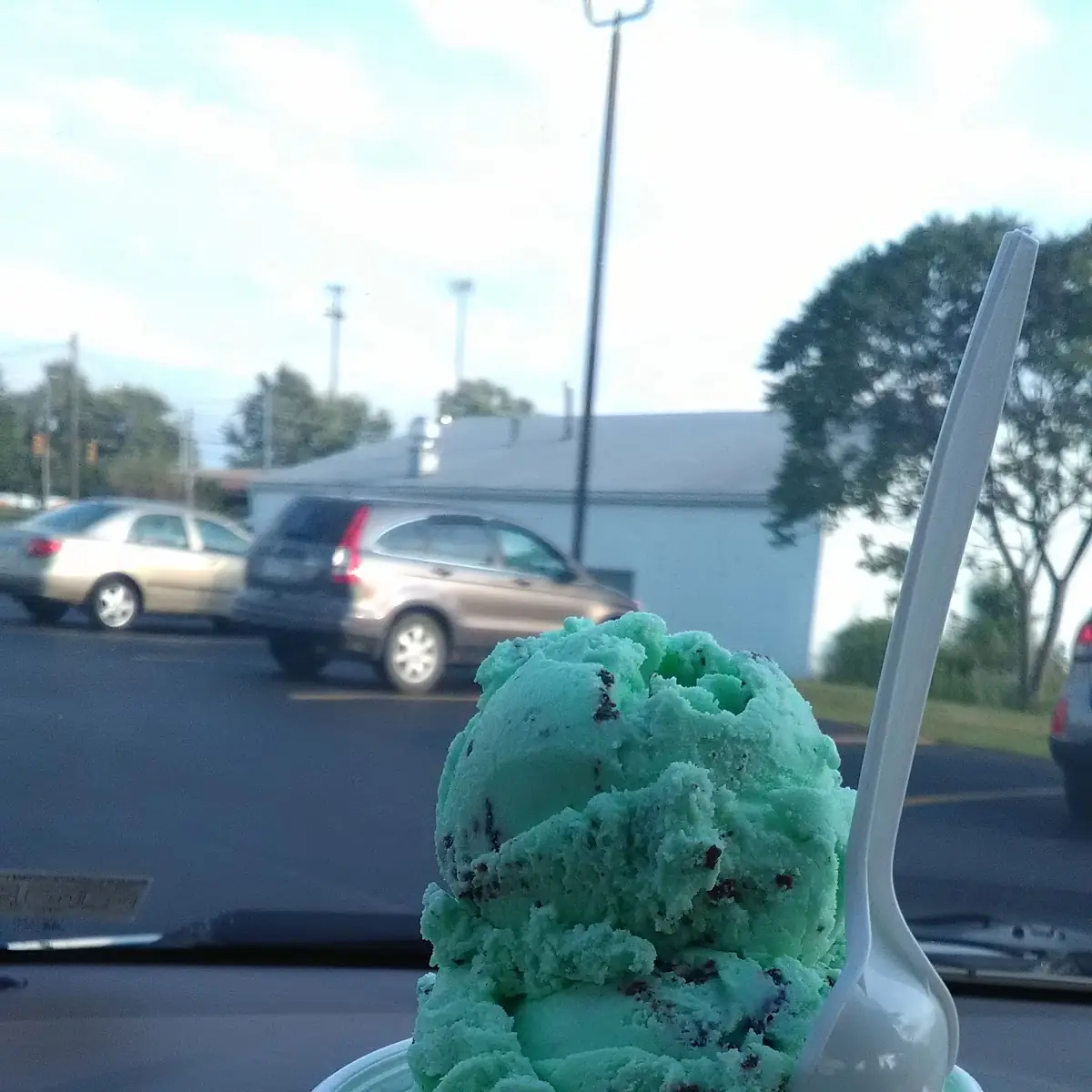 Mint Chocolate Chip Ice Cream