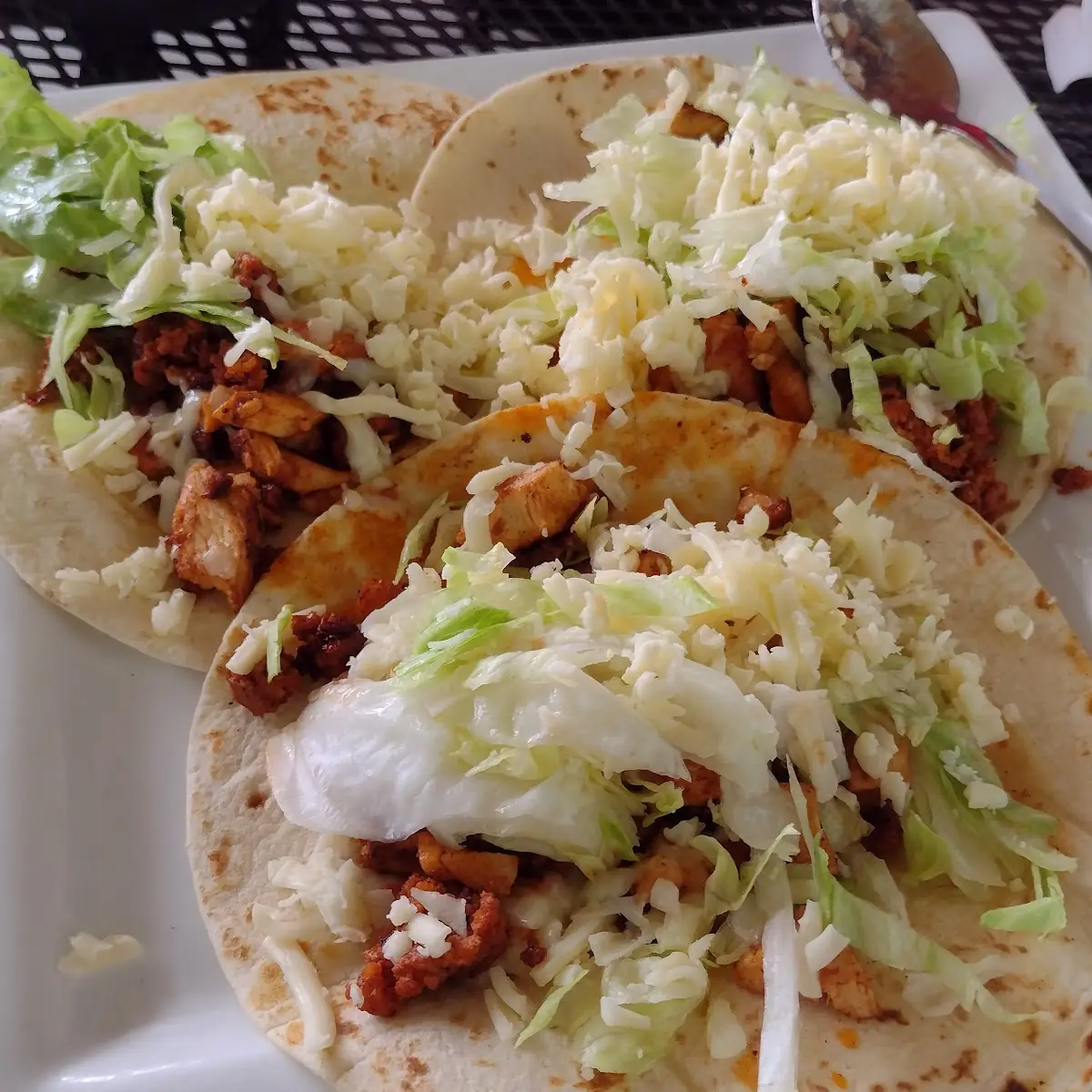 Pollo and Chicken Tacos