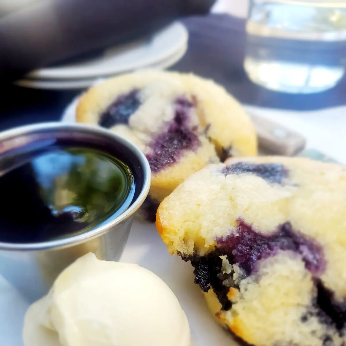 Blueberry Muffin