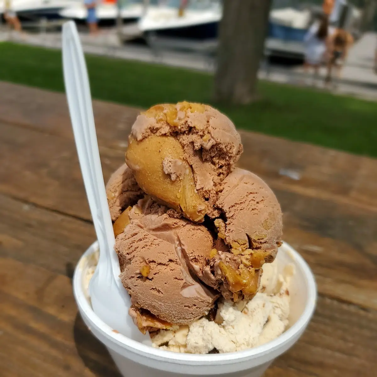 Chocolate Peanut Butter Ice Cream