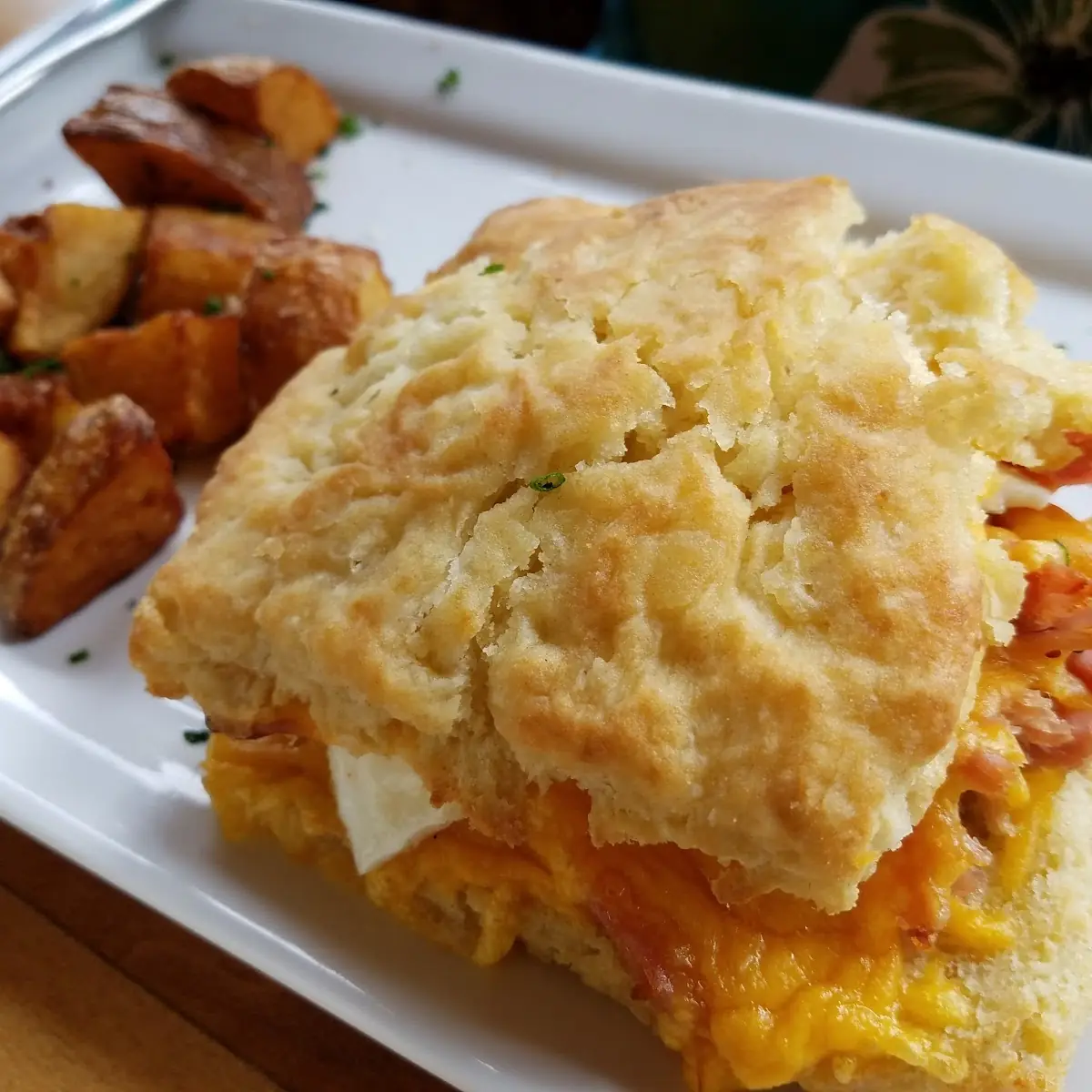 Chicken Biscuit Pie