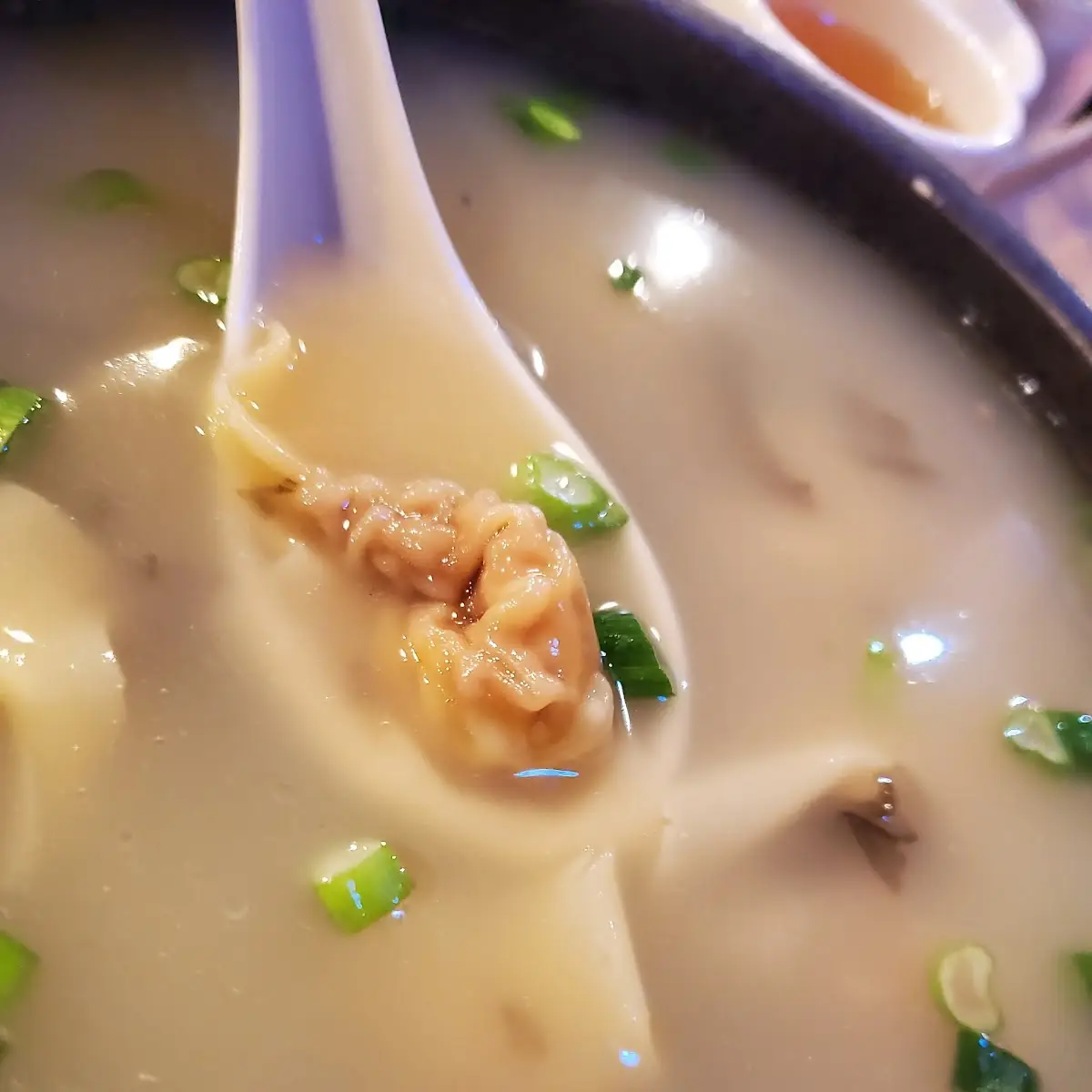 Wonton Soup