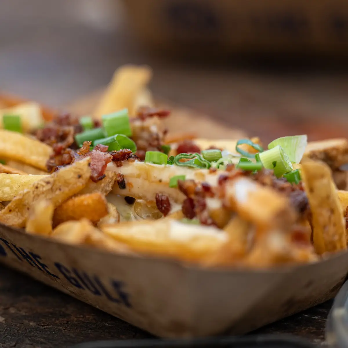 Loaded Fries