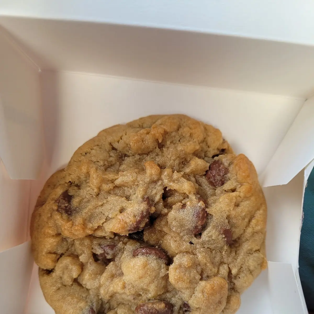 Oatmeal Raisin Cookie