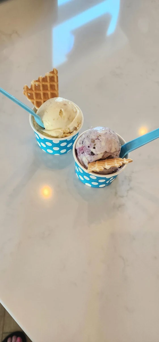 Blueberry Pie & Key Lime Pie Gelato