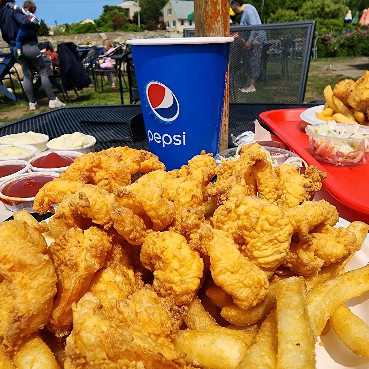 Fried Clams and Sea Scallops
