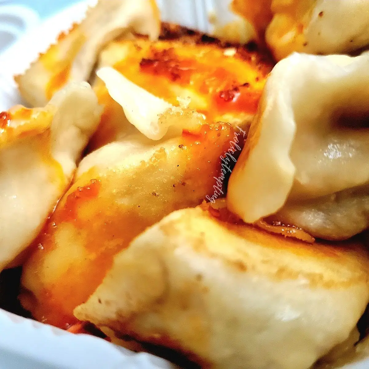 Pork Dumplings