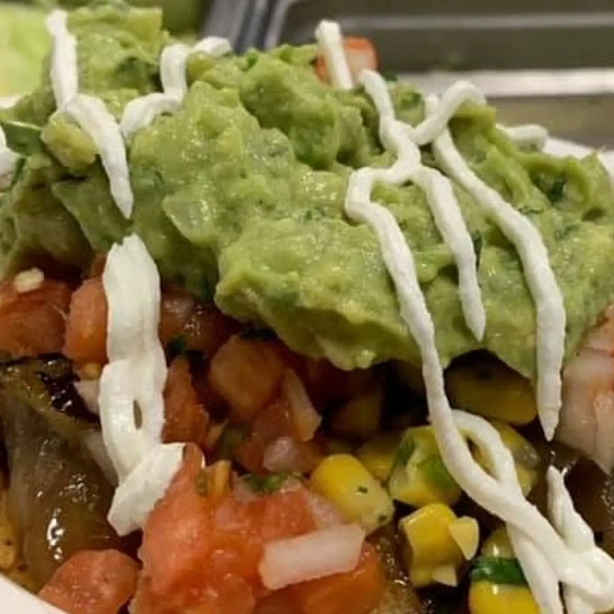 Burrito Bowl