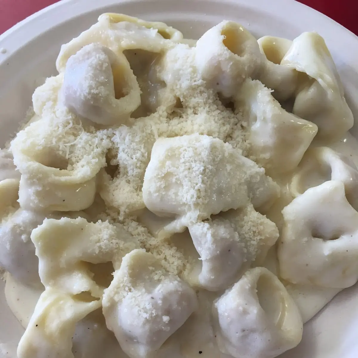 Tortellini in White Sauce