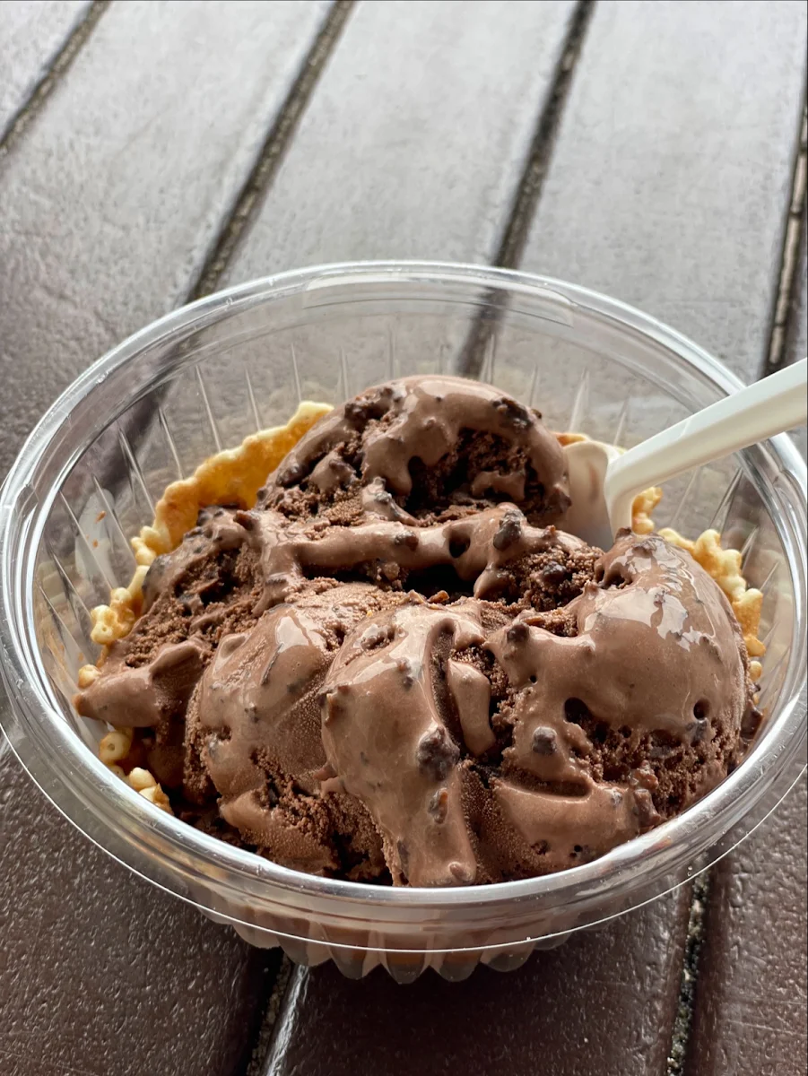 Chocolate Toasted Coconut Waffle Bowl