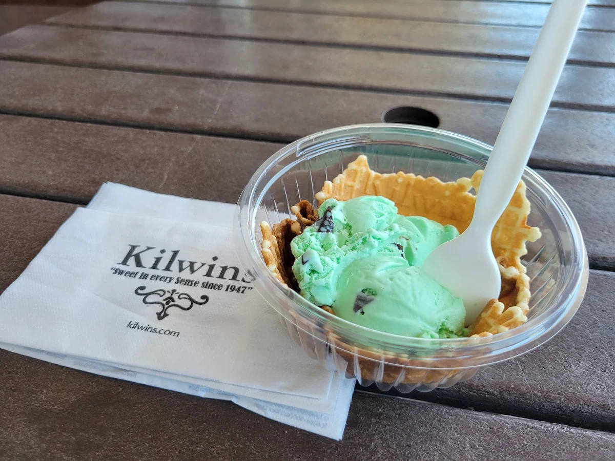 Mint Chocolate Chip in a Waffle Cup