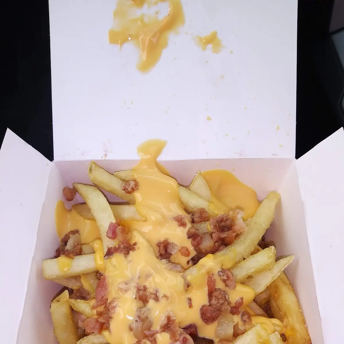 World Famous Fries