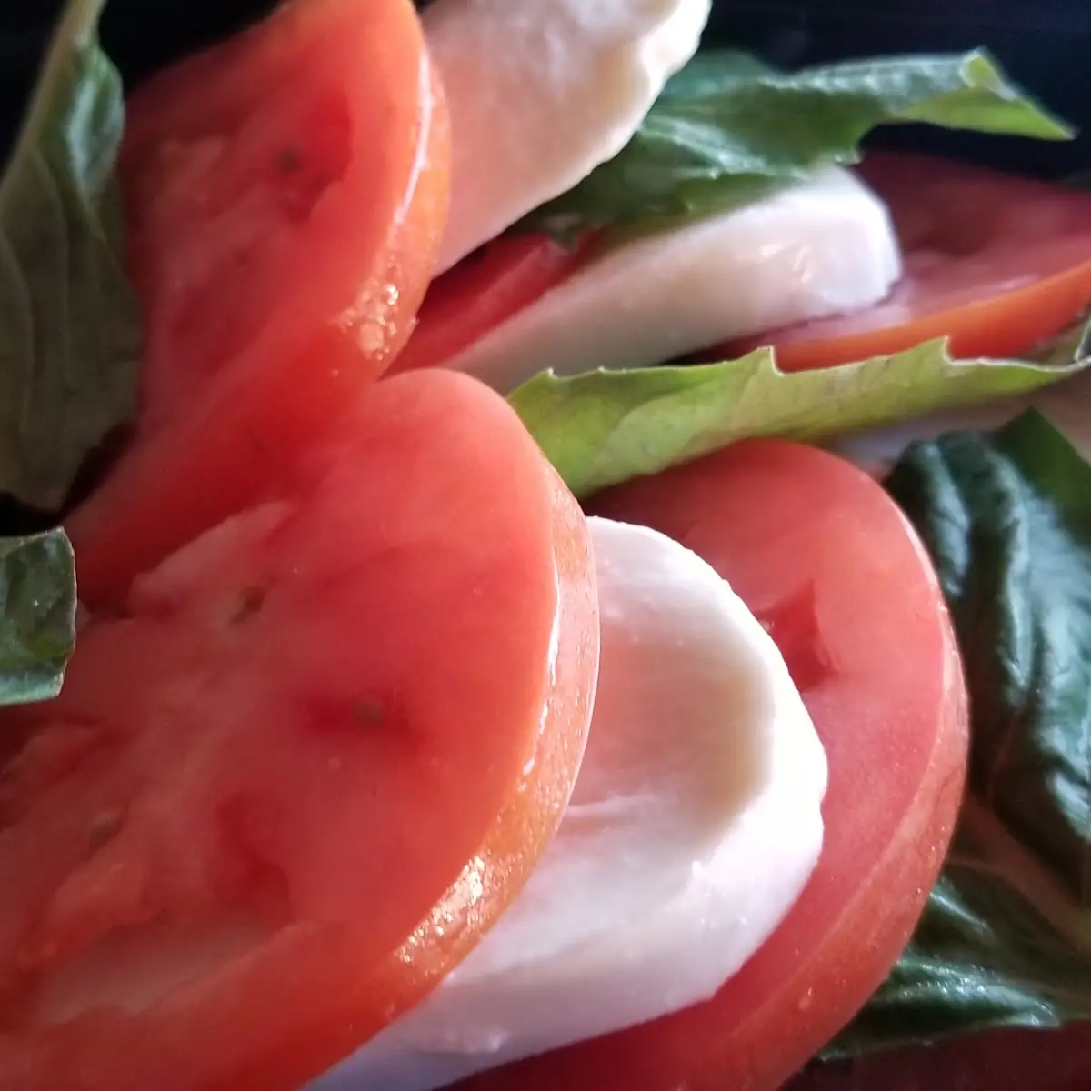Mozzarella Caprese Salad