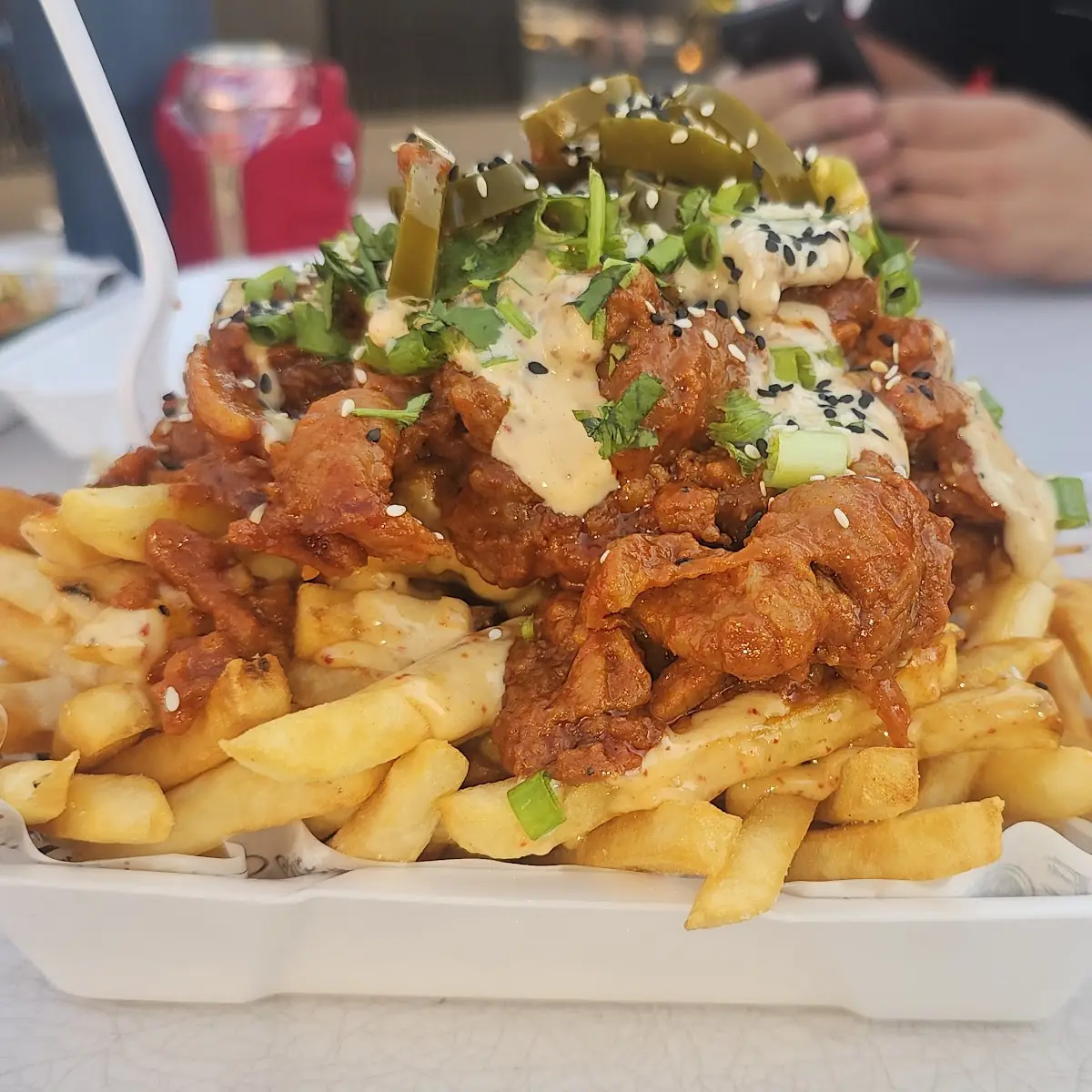 Asian Style Loaded Fries