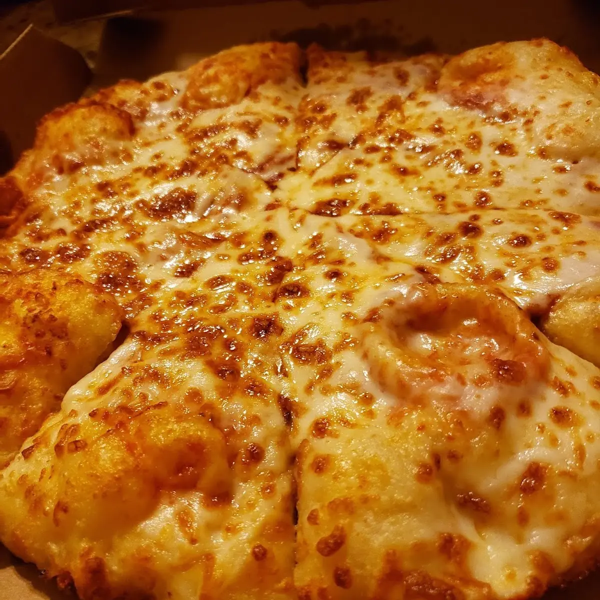 Cheese Pizza Extra Cheese
