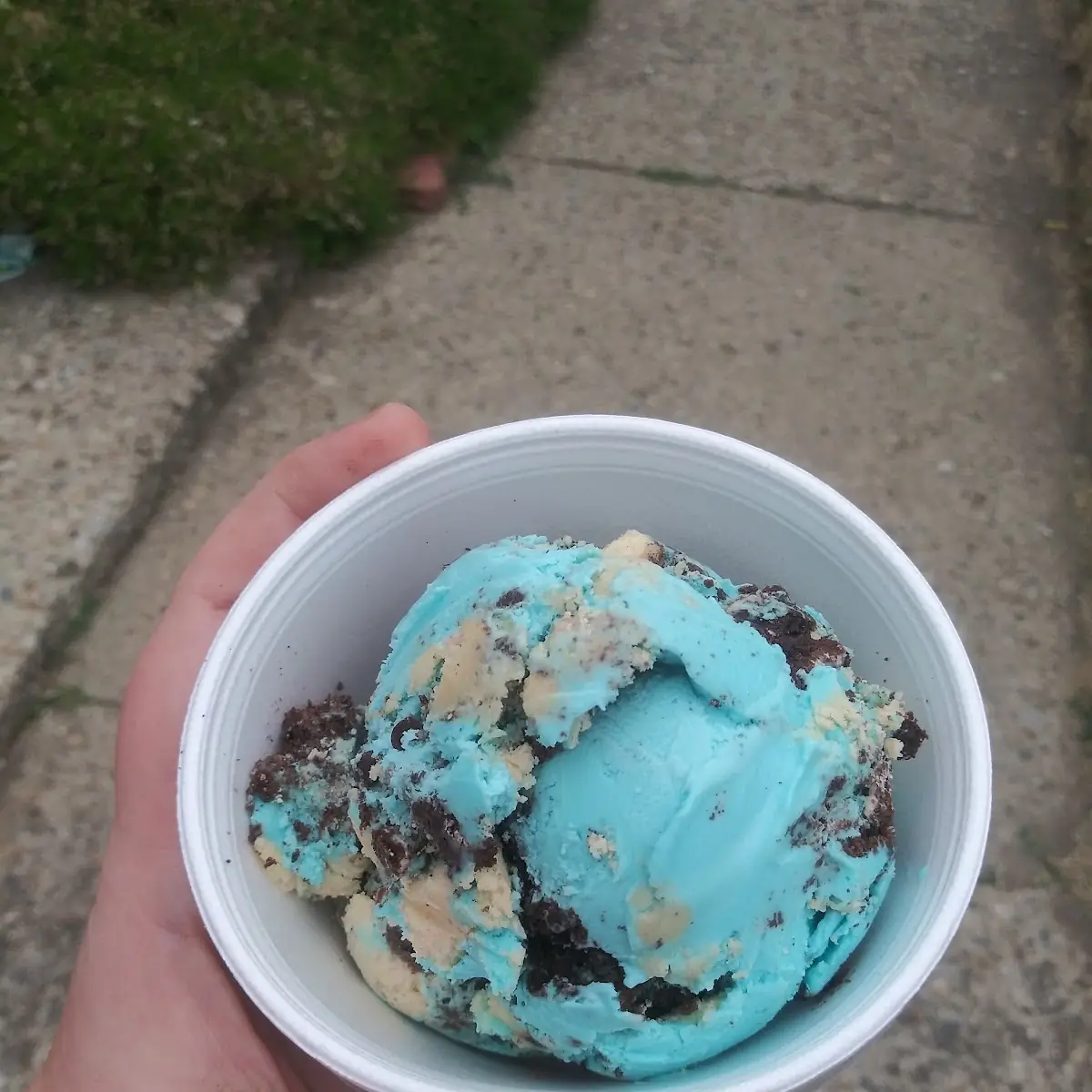 Cookie Monster
