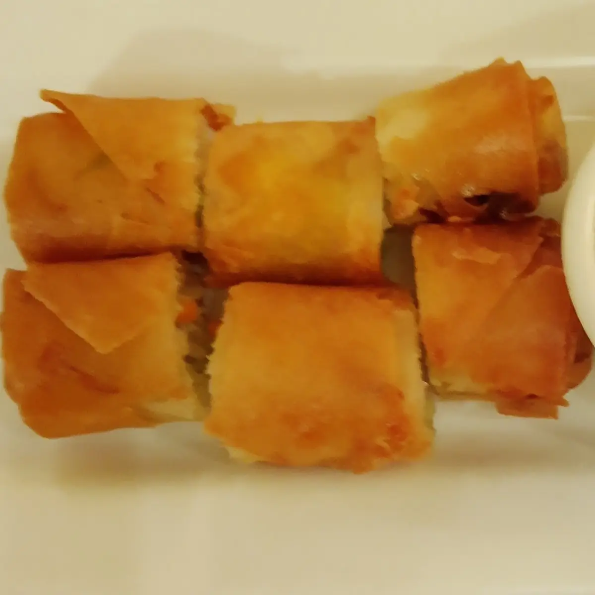 Fresh Vegetable Spring Rolls 2