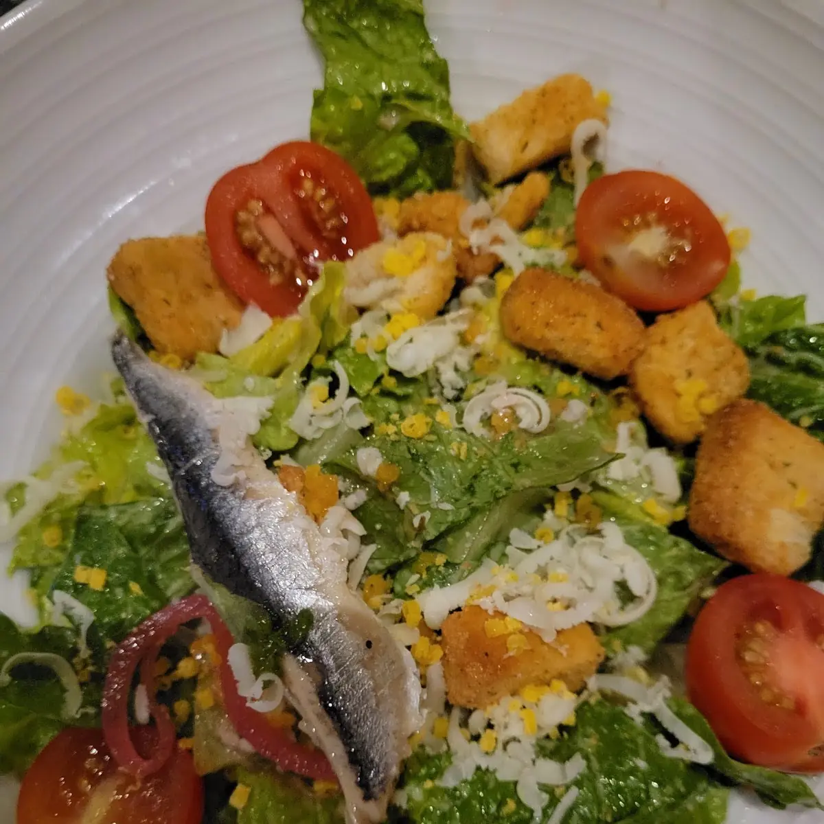 Cesar Salad