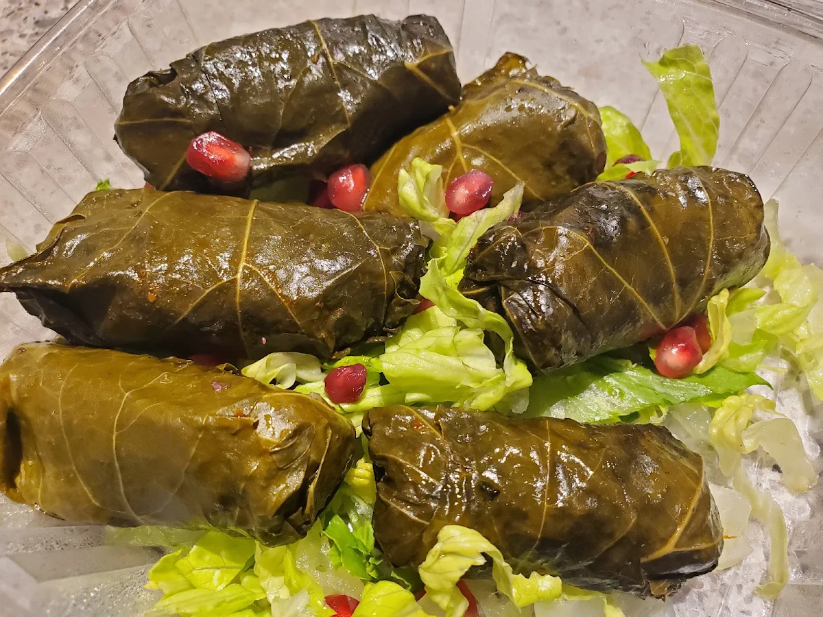 Sarma, Cedar North Restaurant (Lebanese Cuisine)