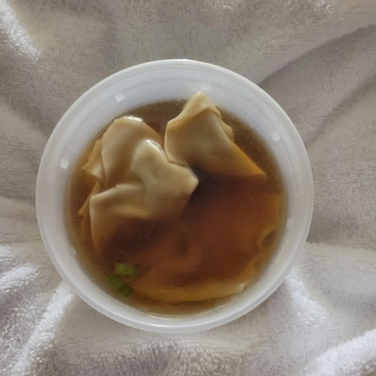 Wonton Soup