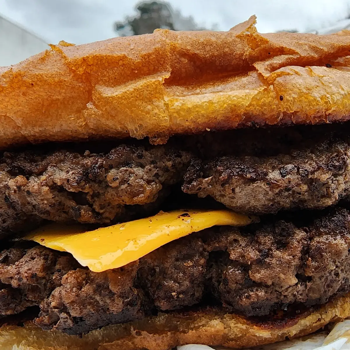 Double Cheeseburger Combo