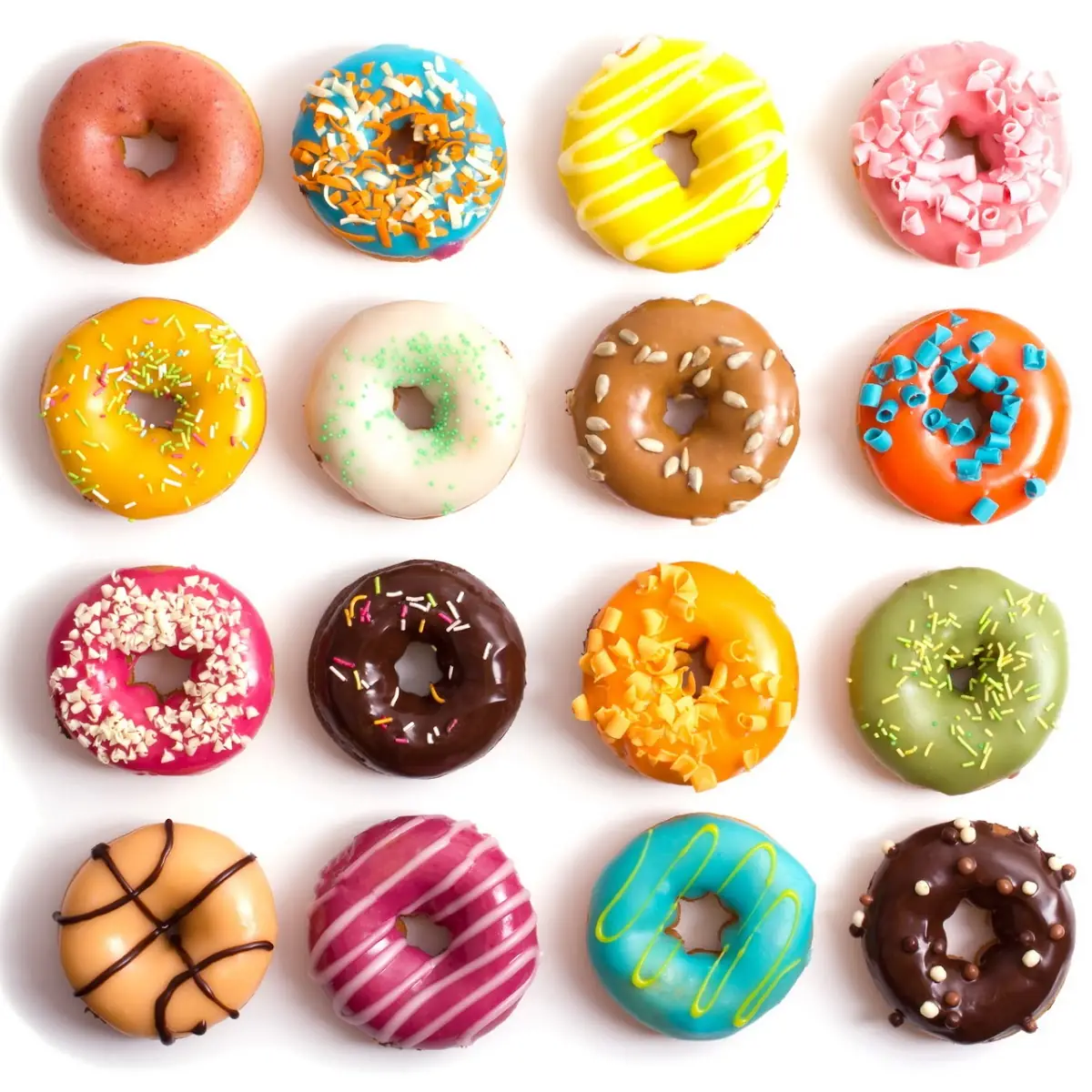 Doughnut