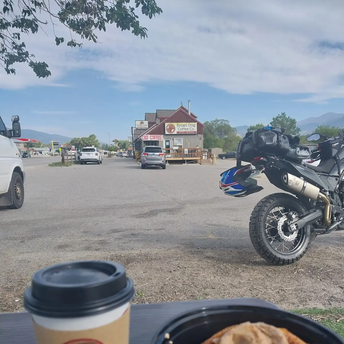 Americana and Cinnamon Roll