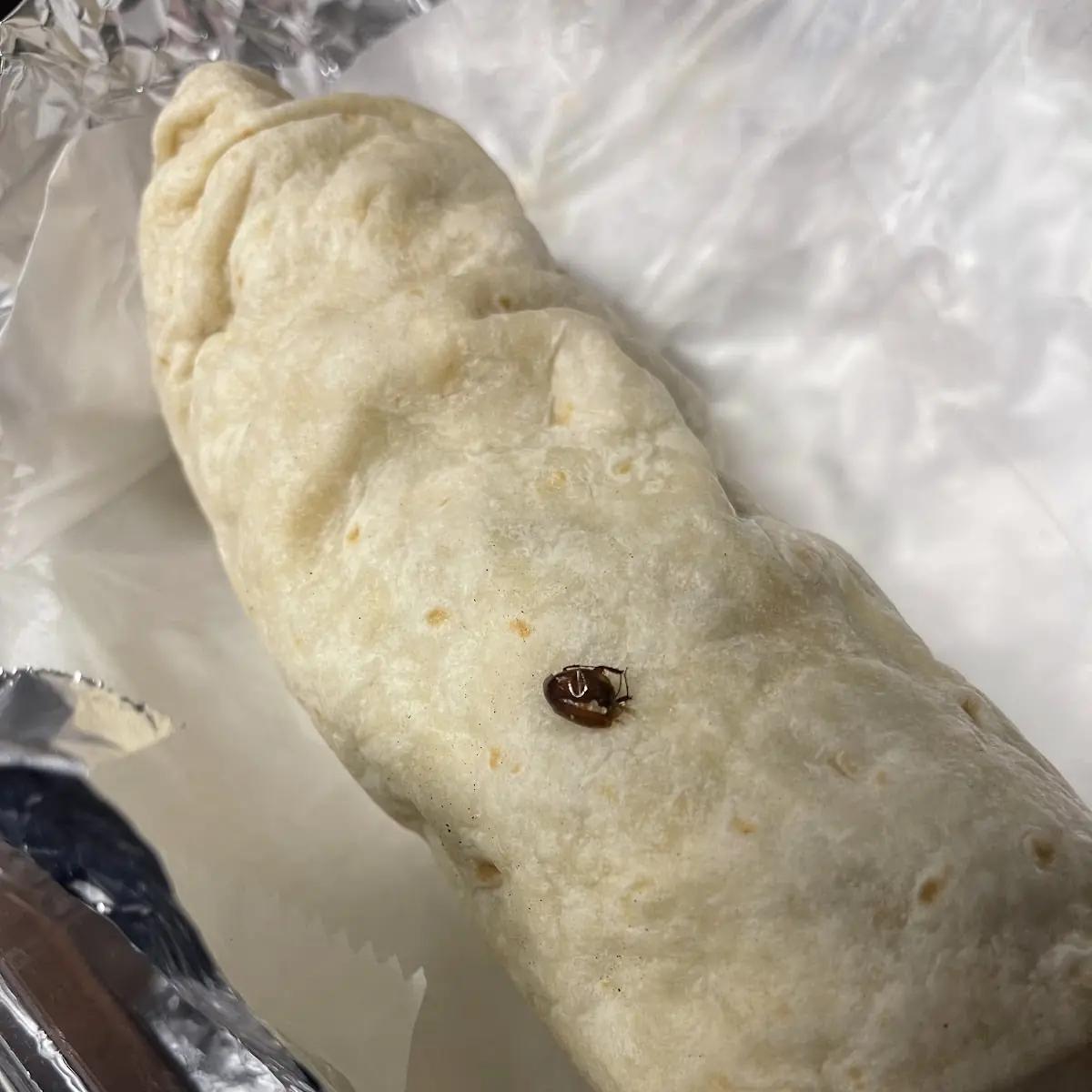 Breakfast Burrito
