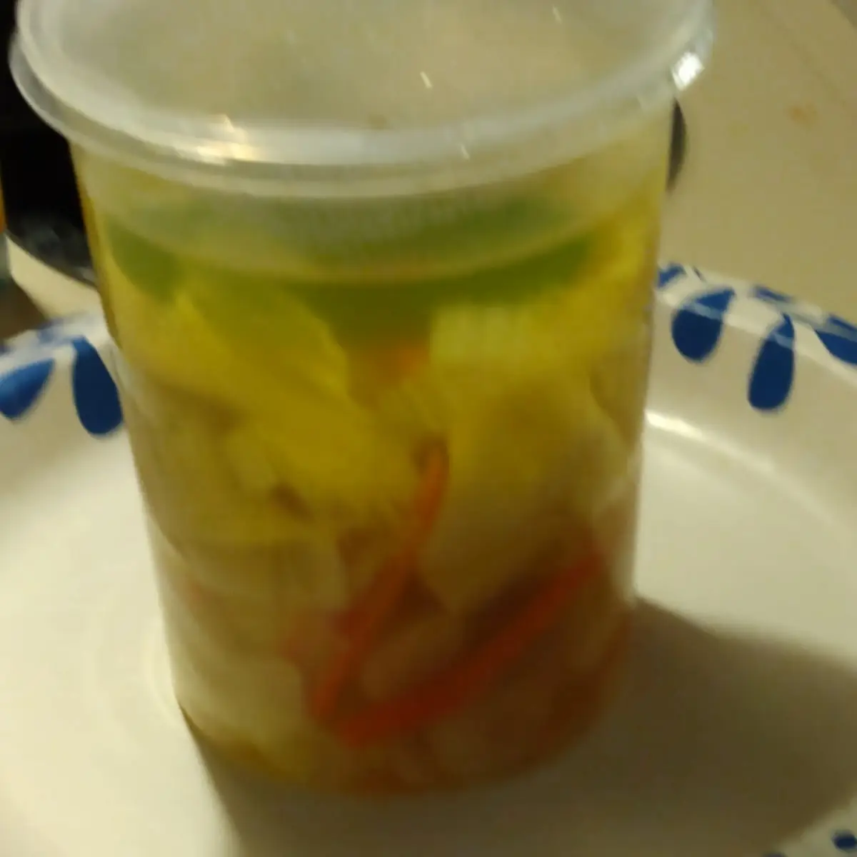 Large Wonton Soup