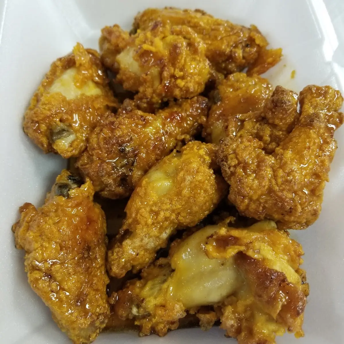 Buffalo Bone in Wings