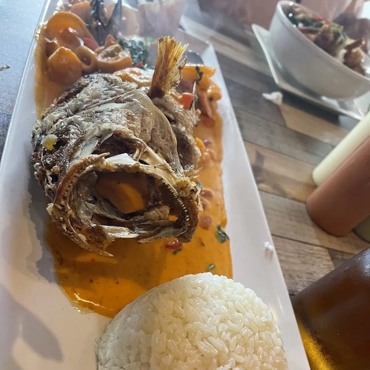 Costa Snapper Pargo A La Costa