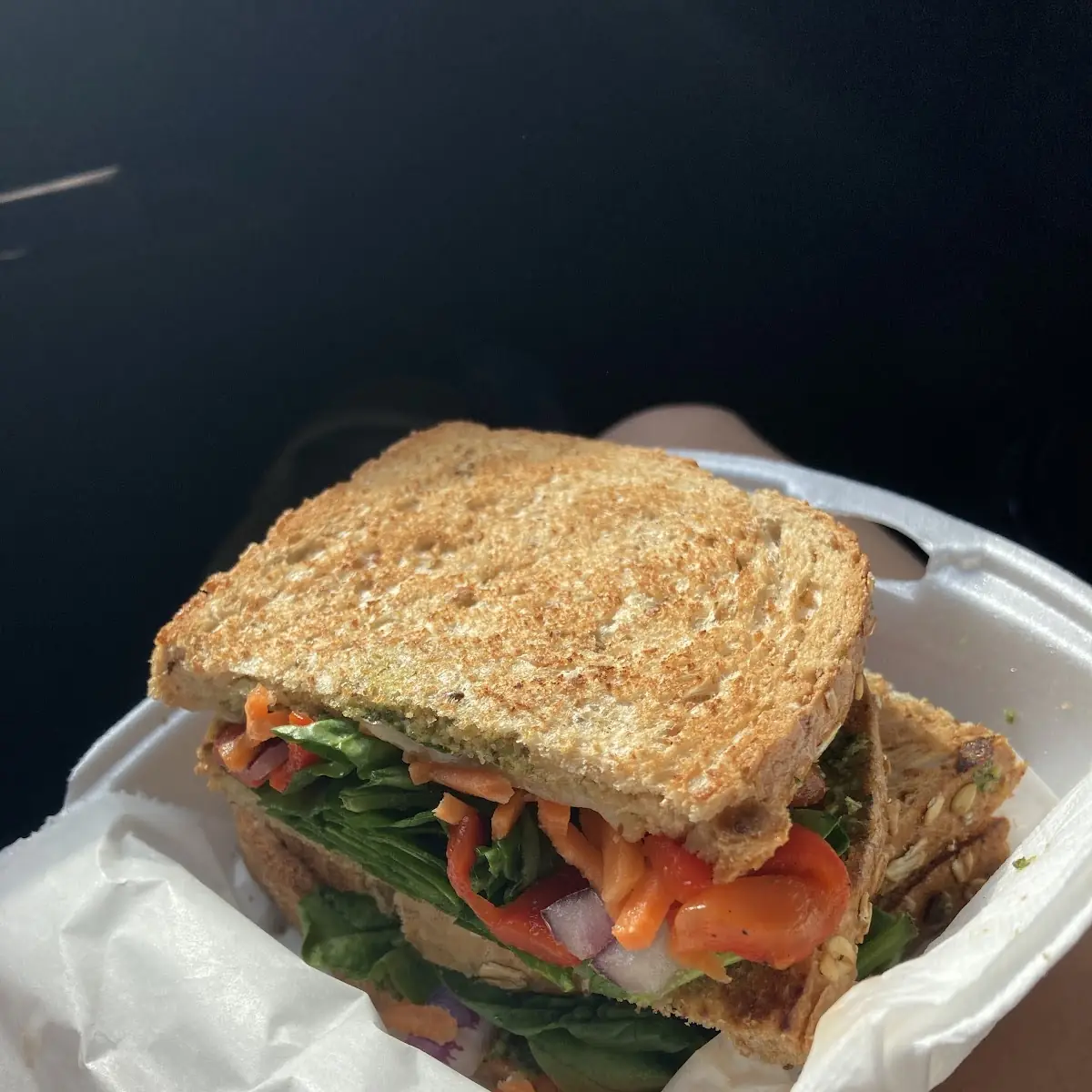 Vegetable Panini Sandwich