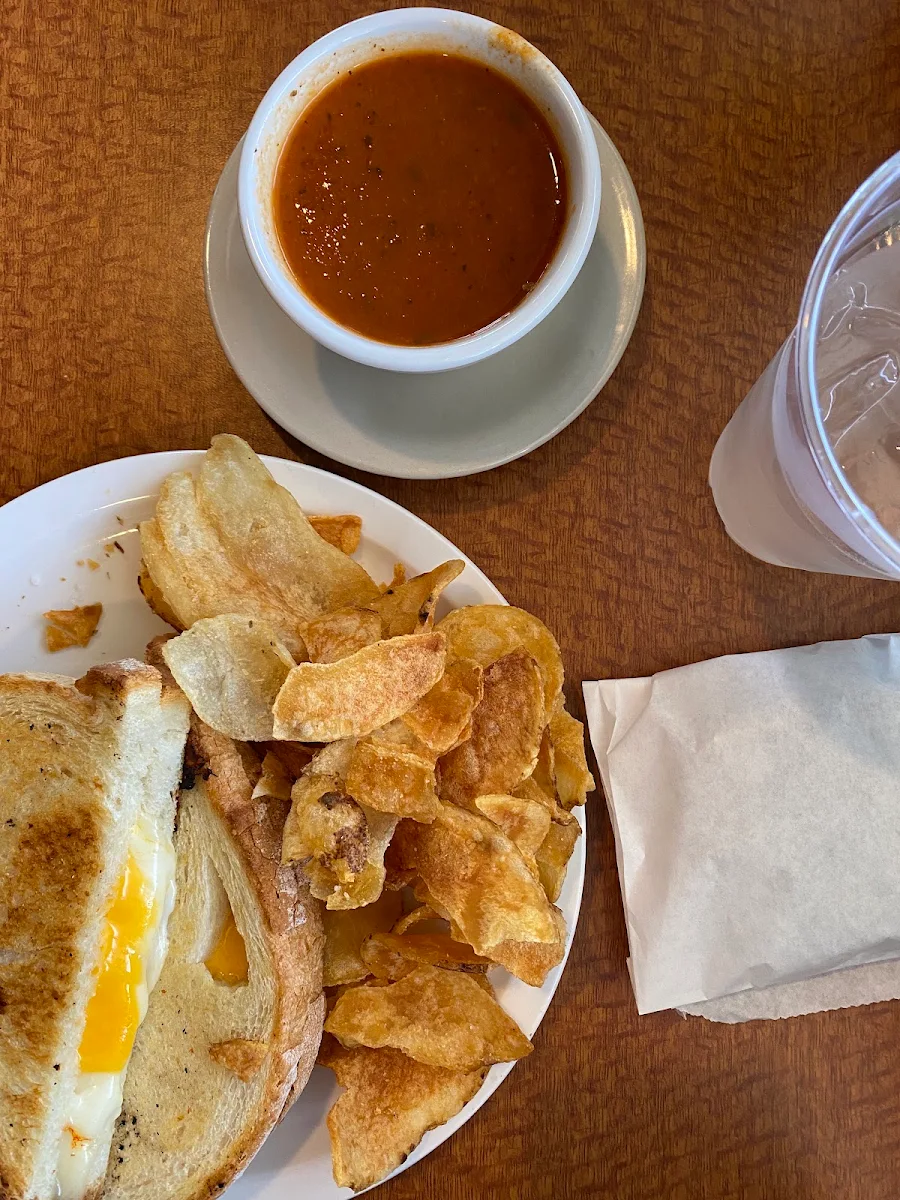 Grilled Cheese Panini