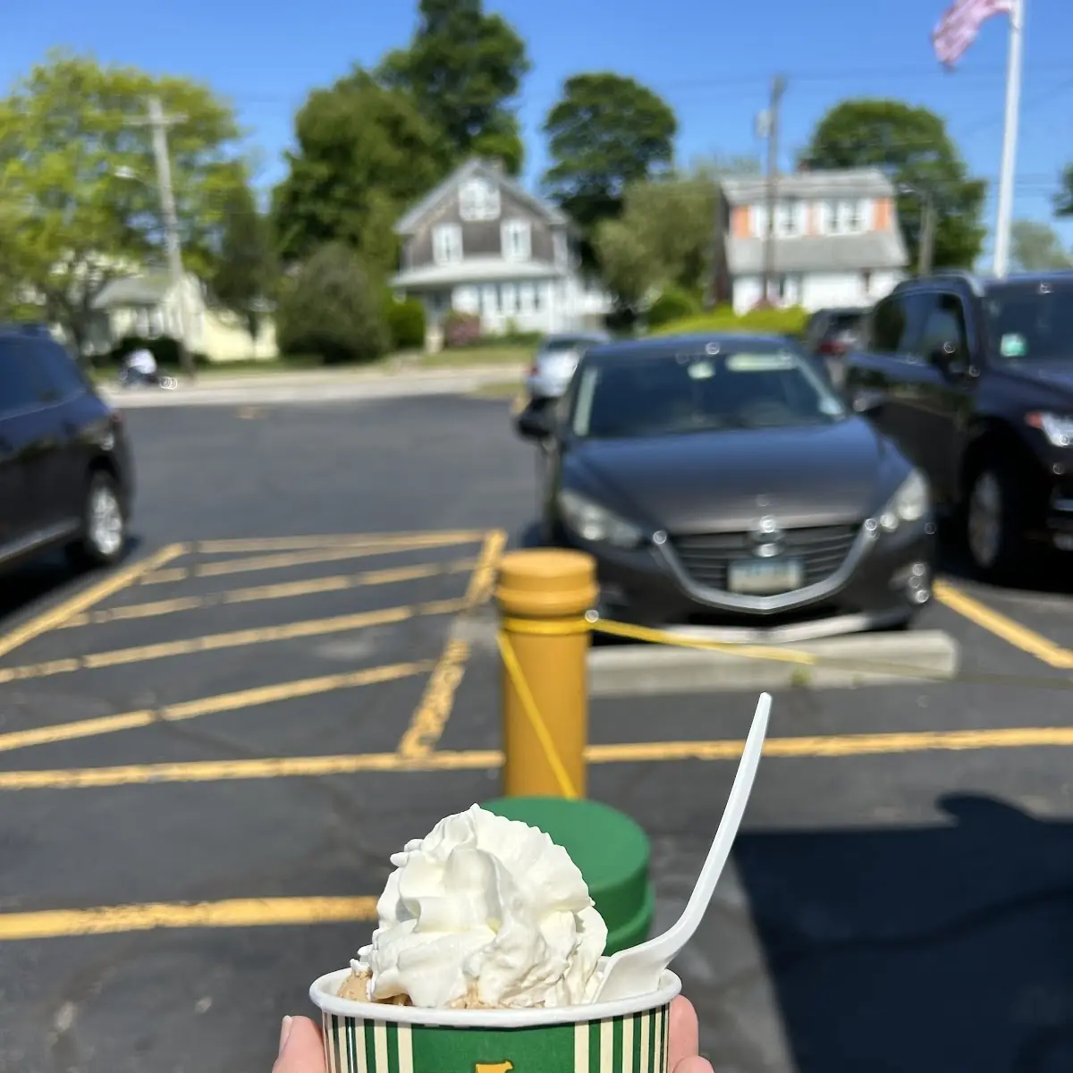 Vanilla Ice Cream