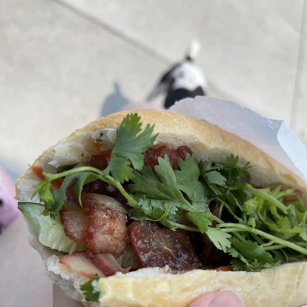 Le's Special Sandwich