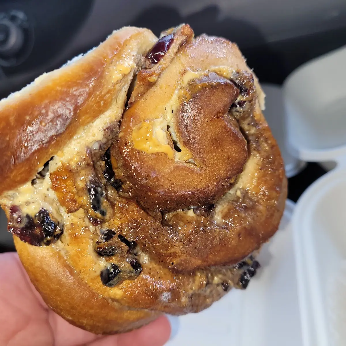 Morning Bun