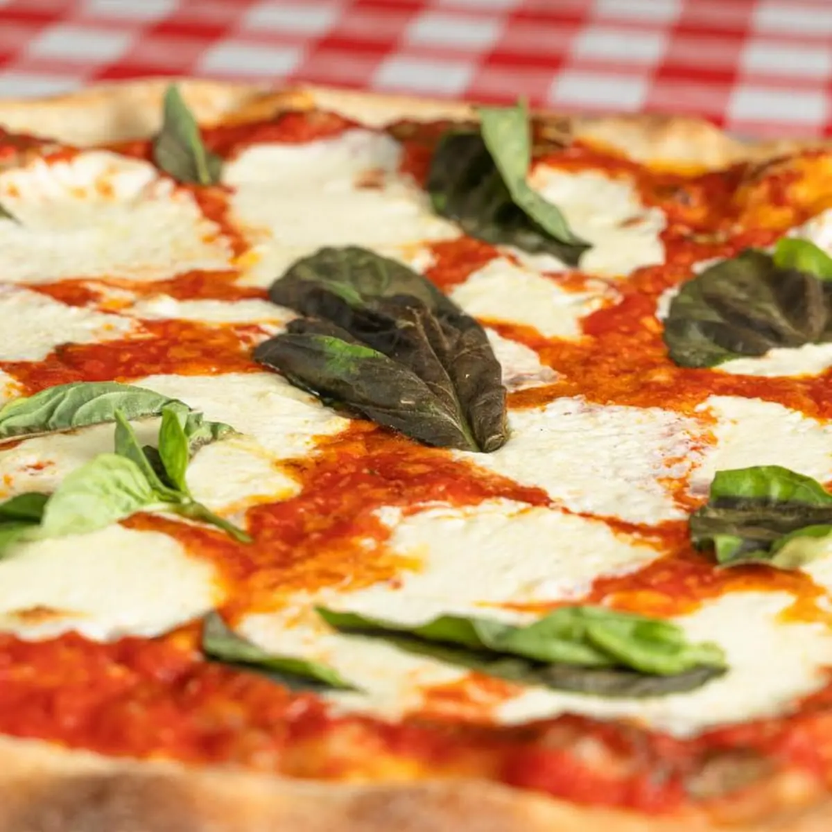 Margherita Pizza