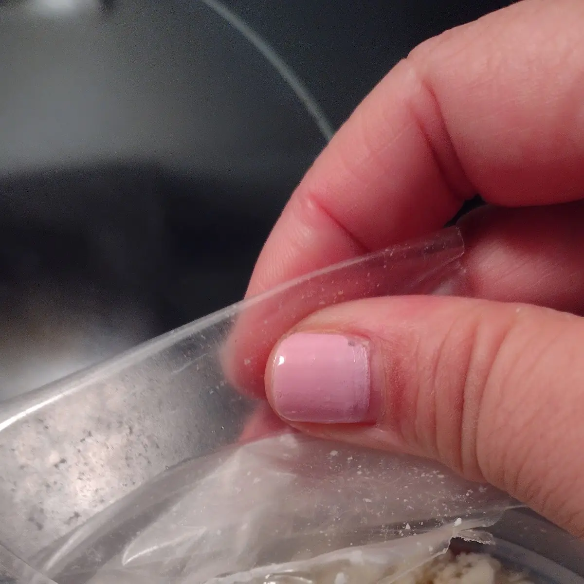 Container of Horrible Blue Cheese