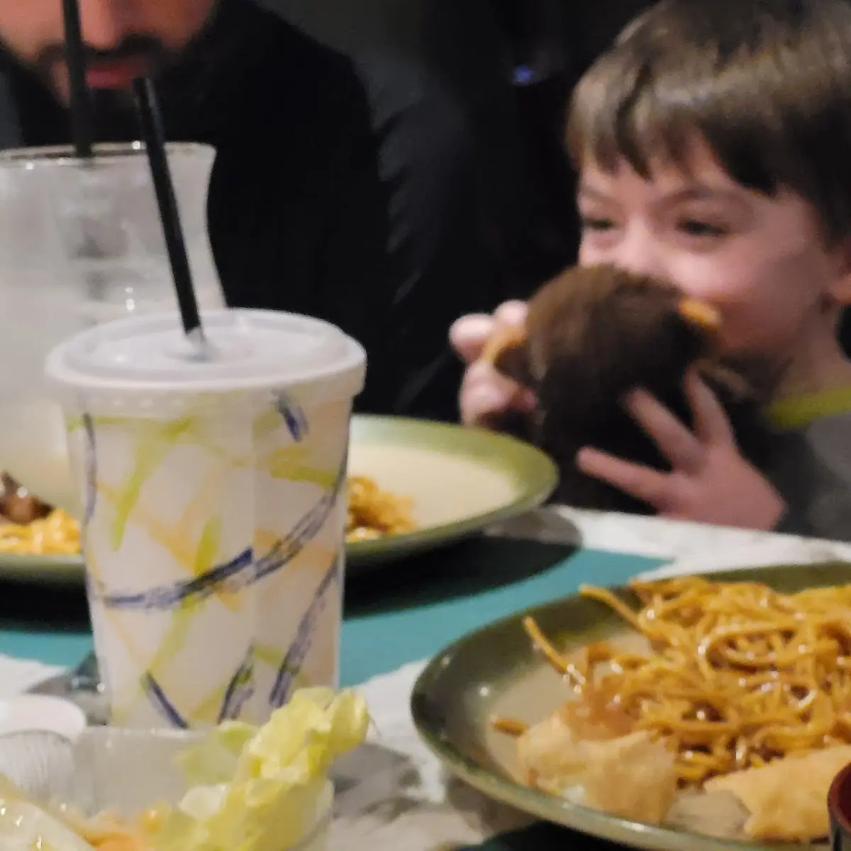 Lo Mein Noodles