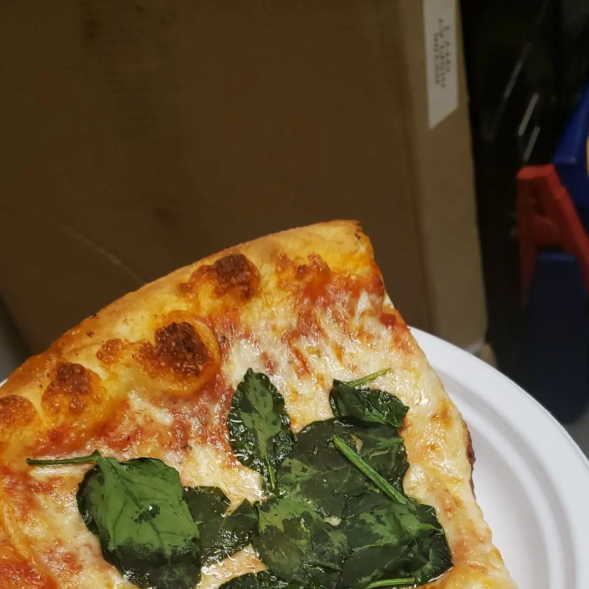 Spinach Pizza Slice