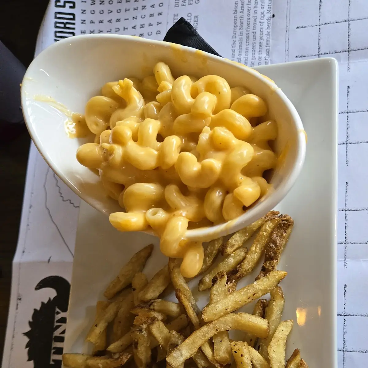 Kids Mac & Cheese with Fries