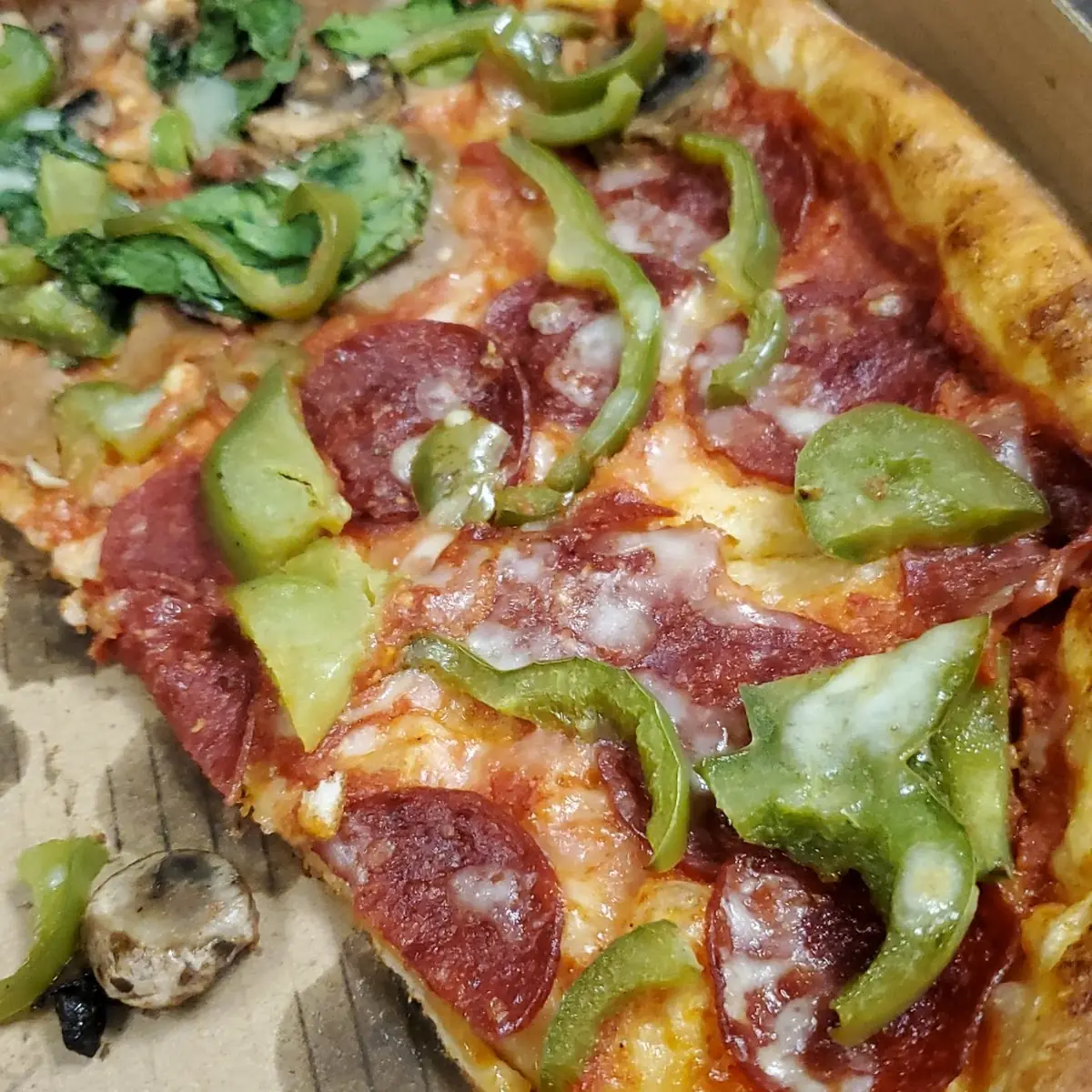 Vegetarian Pizza