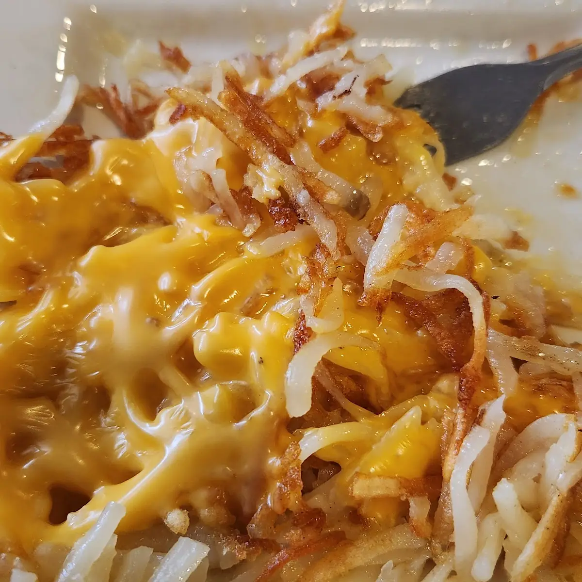 Hash Browns with Cheese