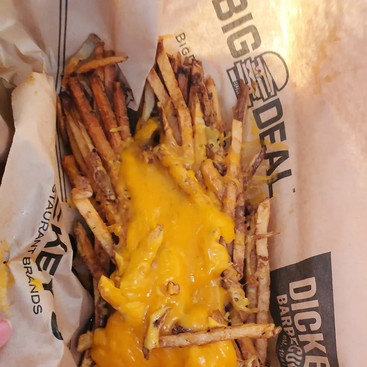 Cajun Hand-Cut Fries Large