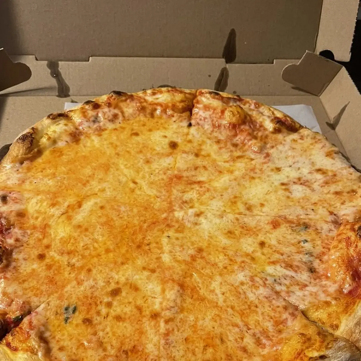 10'' Plain Cheese Pizza