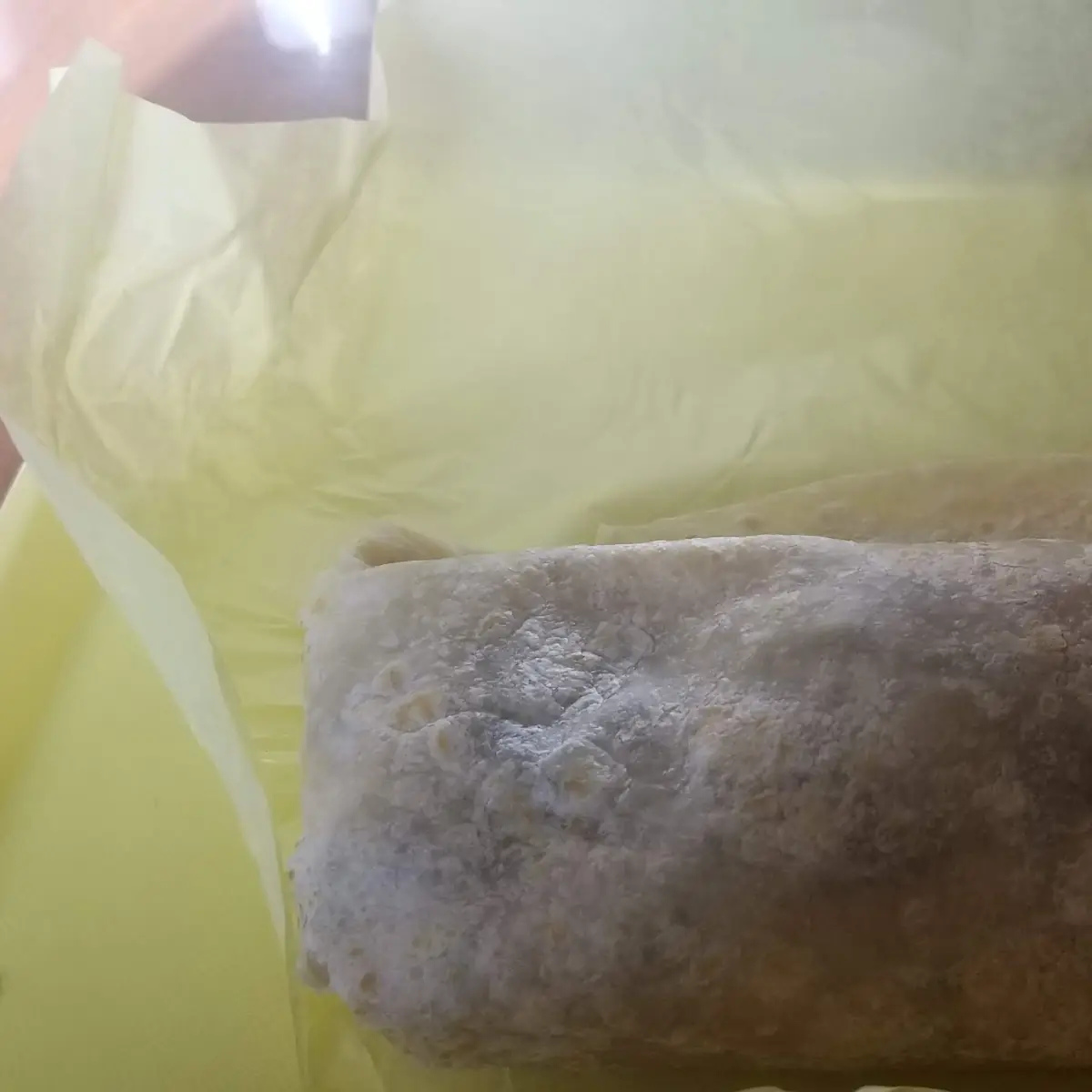 Carne Asada Burrito