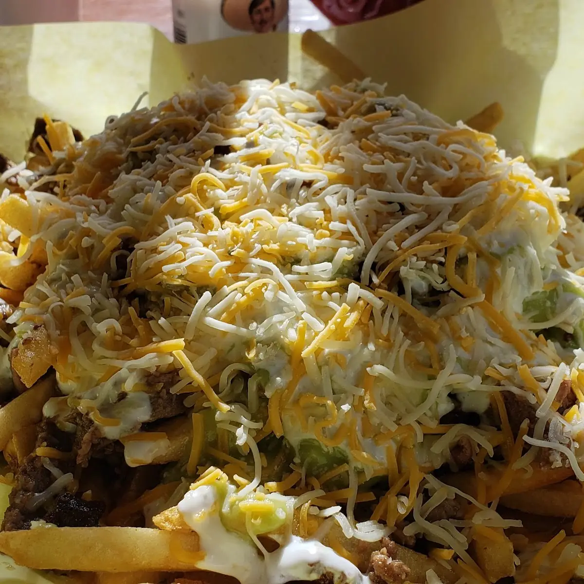 Carne Asada Fries