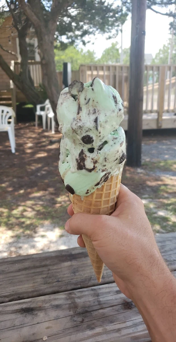 Mint Chocolate Chip Moose Tracks